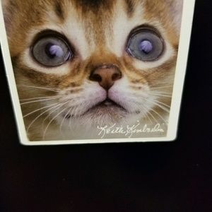 Meet your Posher, Lucilda